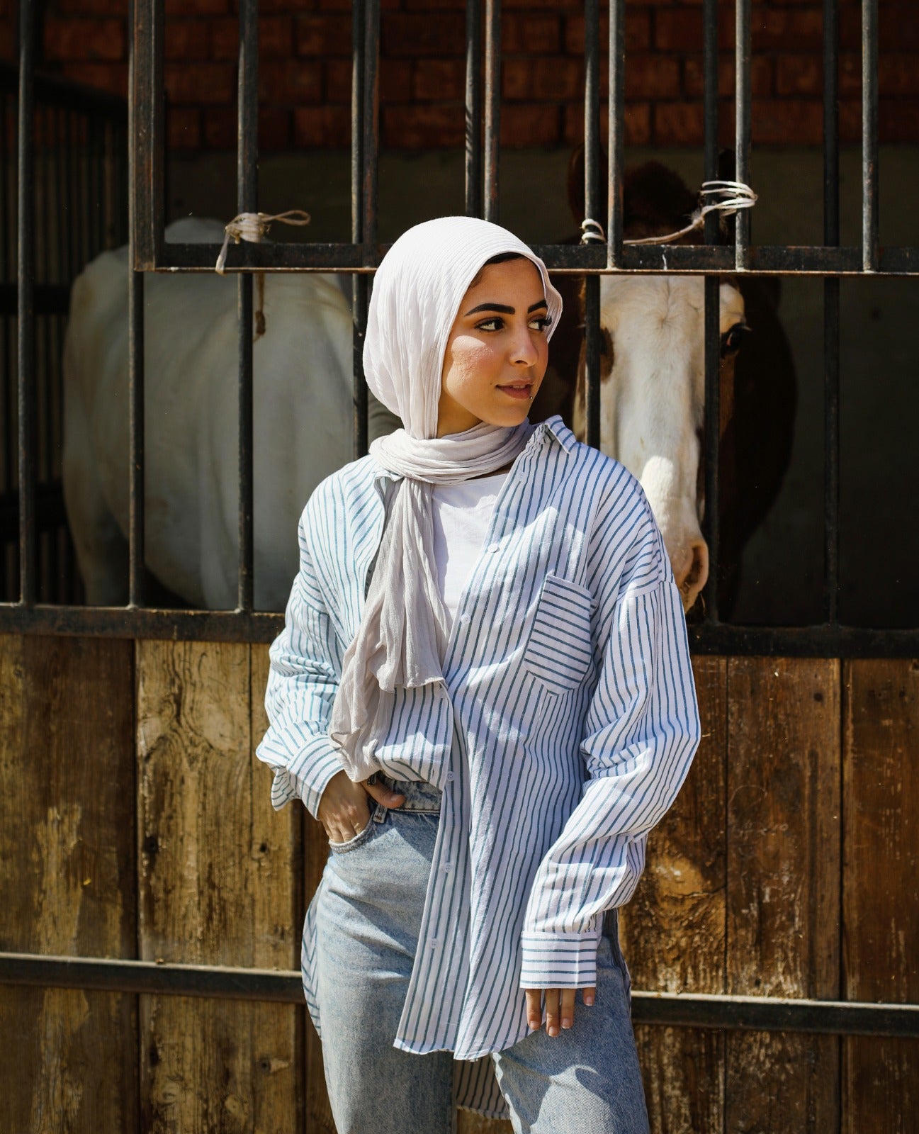 Oversized Linen Stripped Shirt Blue