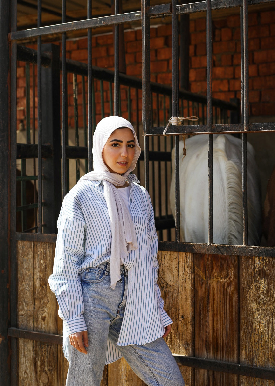 Oversized Linen Stripped Shirt Blue